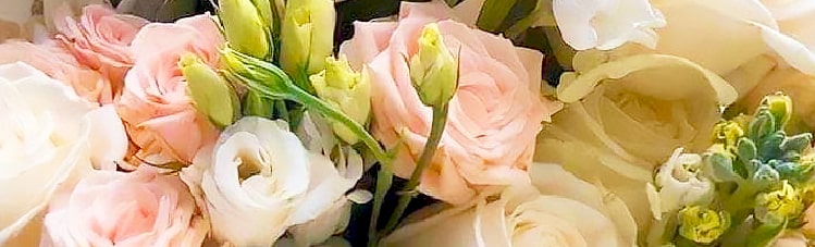 花の写真